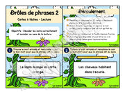 Cartes à tâches - Drôles de phrases 2 - Langage écrit.pdf