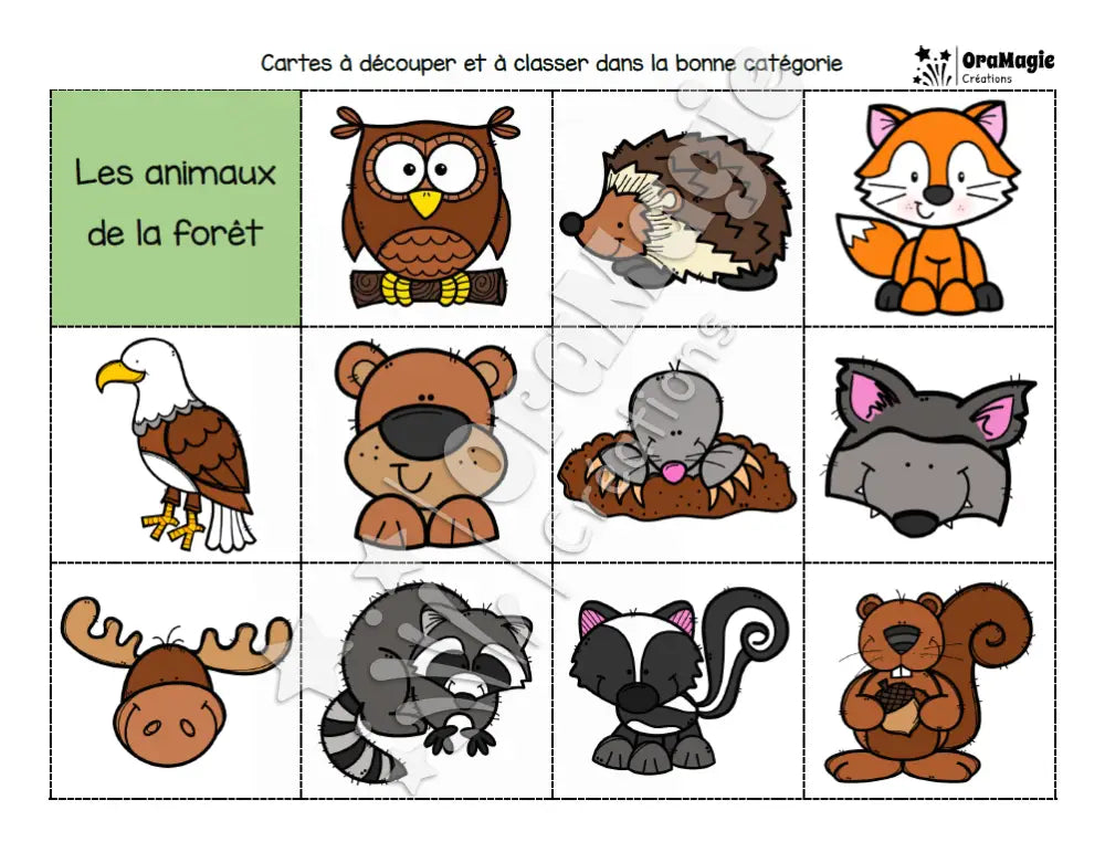 Catégorie en images - Les animaux de la forêt - Produit numérique