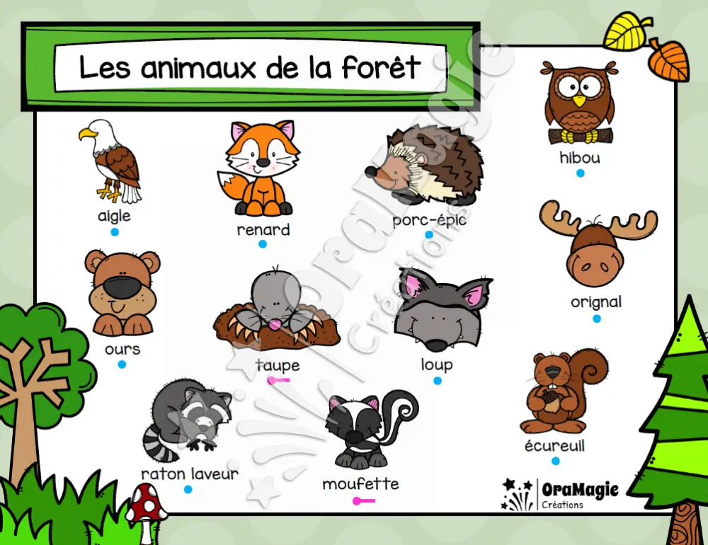 Catégorie en images - Les animaux de la forêt - Produit numérique