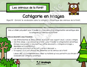 Catégorie en images - Les animaux de la forêt - Produit numérique