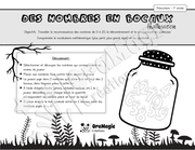 Des nombres en bocaux - Présco et 1re année (7).pdf