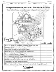 Compréhension de lecture - VRAI OU FAUX - Pantoufle le chien.pdf