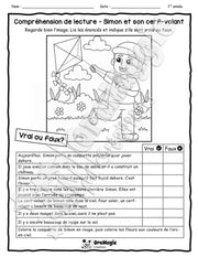 Compréhension de lecture - VRAI OU FAUX - Simon et son cerf-volant.pdf
