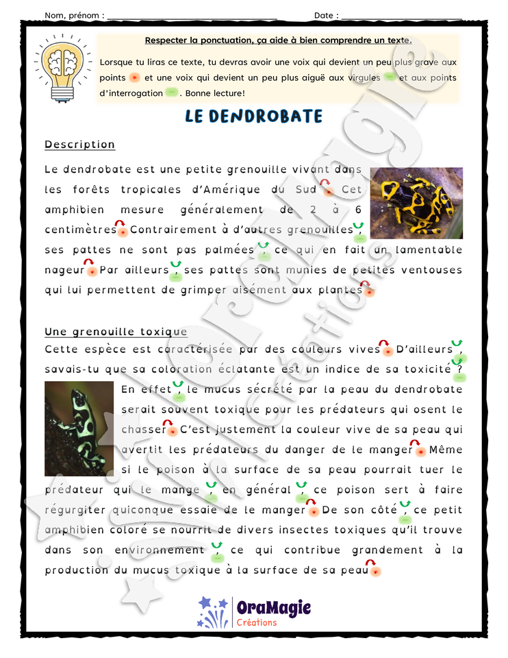 Compréhension de texte - Le dendrobate