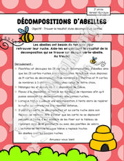 Décompositions d'abeilles - 2e année - Version NB dispo - 5$.pdf