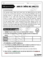Défi grammaire - Jade et l'hôtel des insectes - 5e et 6e année.pdf