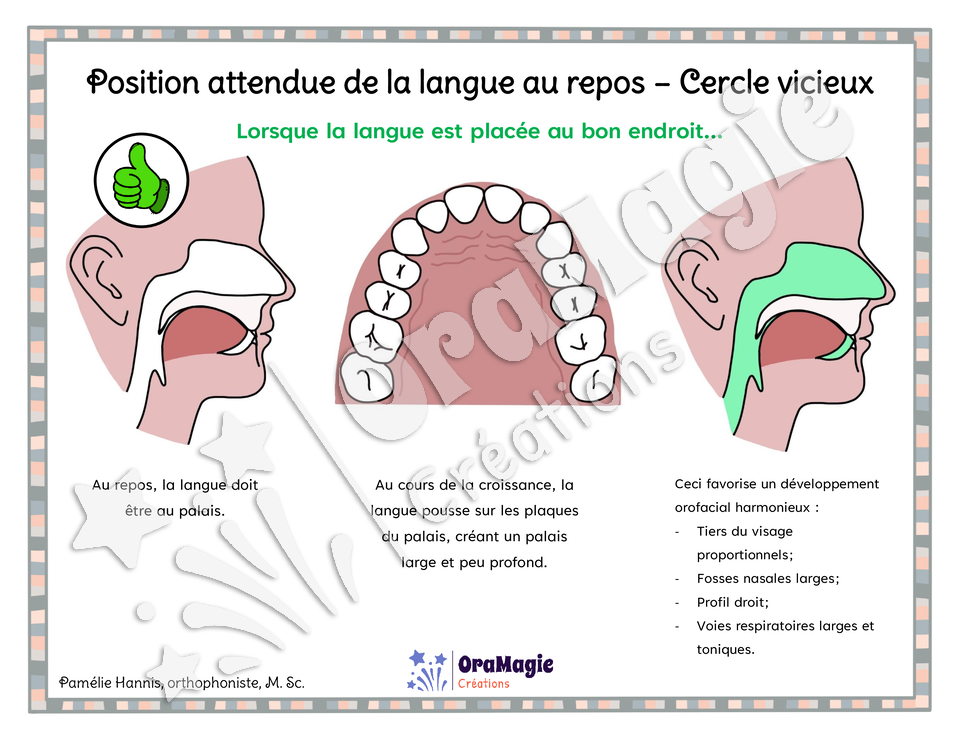 Capsule d'information - Position attendue de la langue au repos - Cercle vicieux - Collabo PH - TOM.pdf