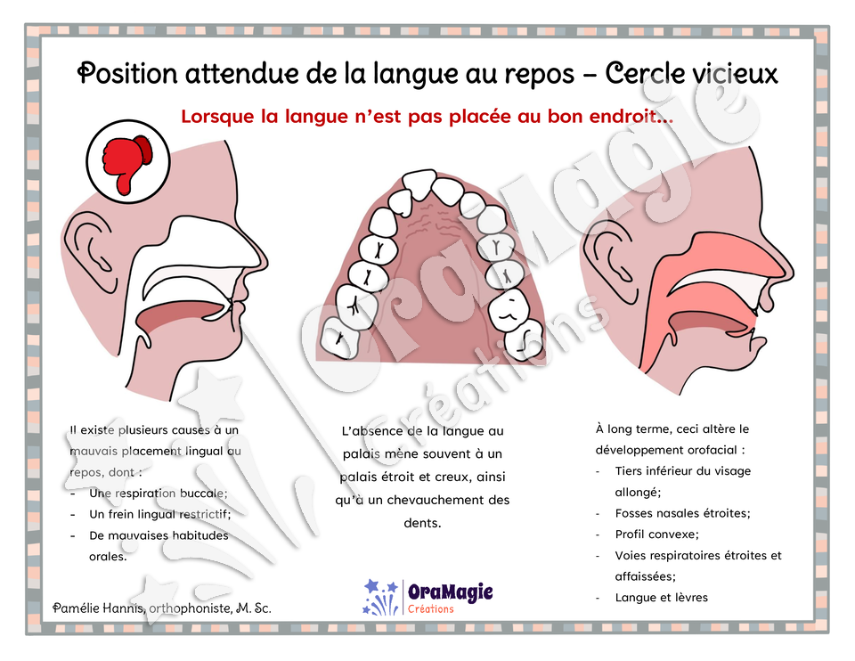 Capsule d'information - Position attendue de la langue au repos - Cercle vicieux