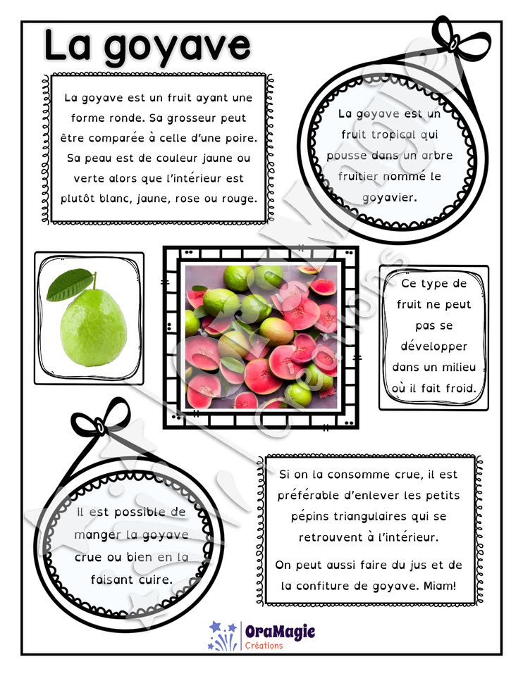 Comprendre un texte informatif - Texte la Goyave - 2e année.pdf