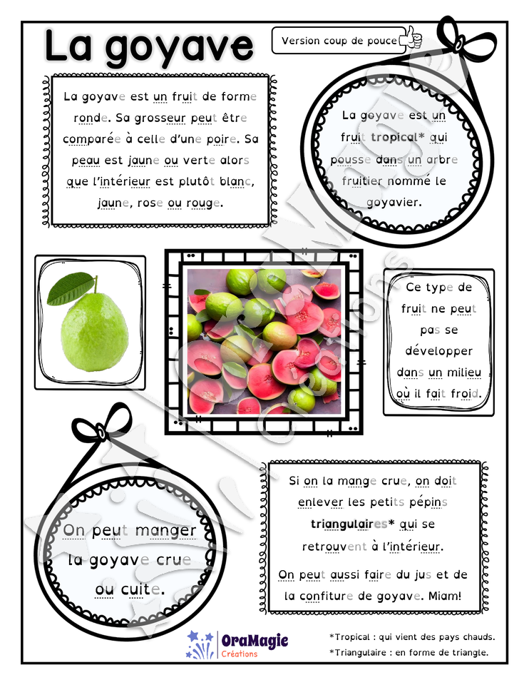 Comprendre un texte informatif - La goyave