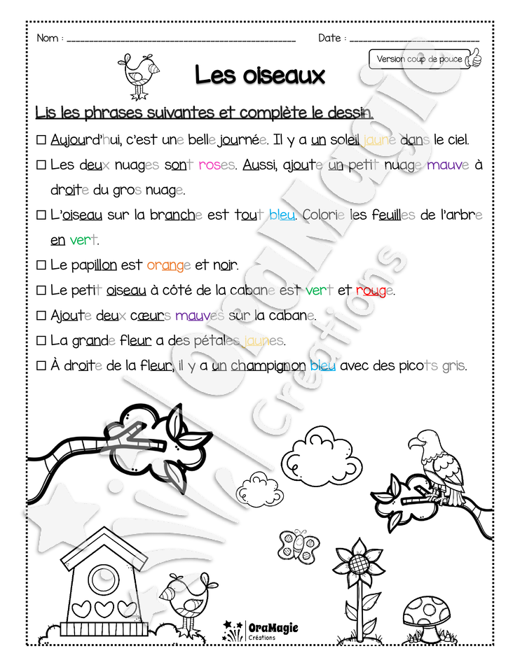 Compréhension de lecture - Lis et colorie - Les oiseaux
