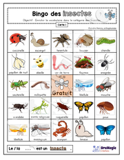 Bingo des insectes - 3 cartes - Collabo PH - 3$.pdf