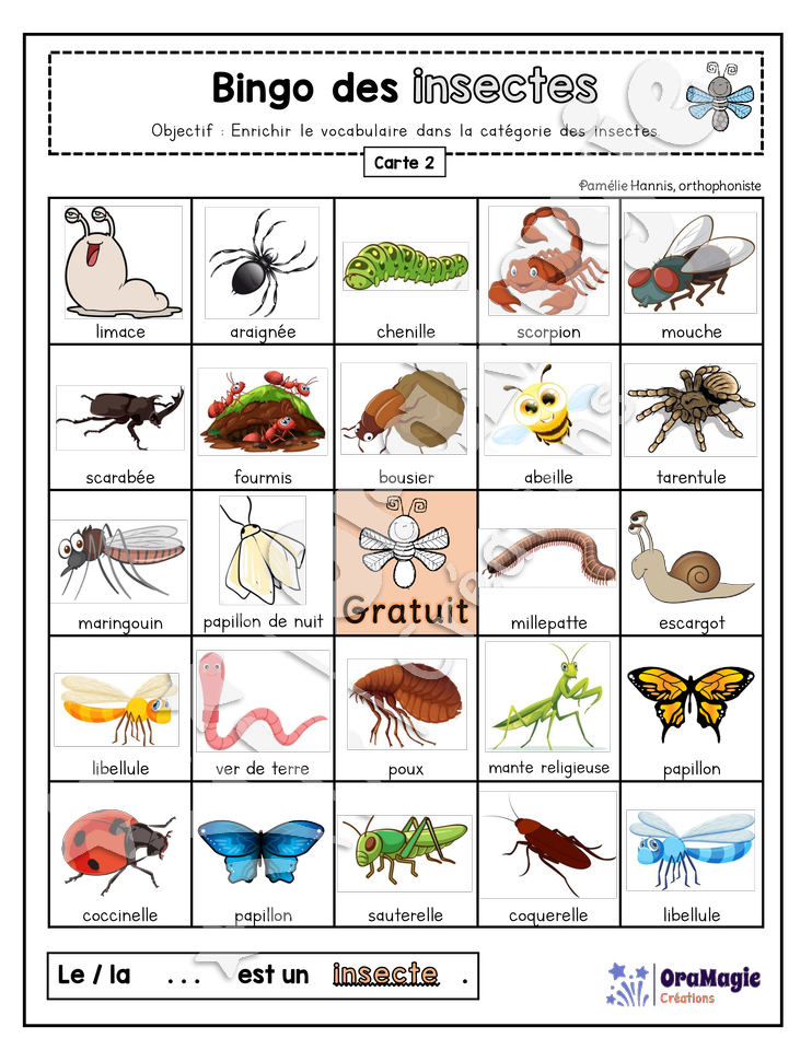 Bingo des insectes - 3 cartes