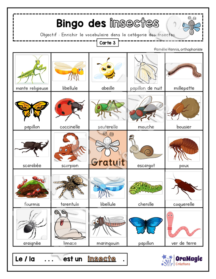 Bingo des insectes - 3 cartes