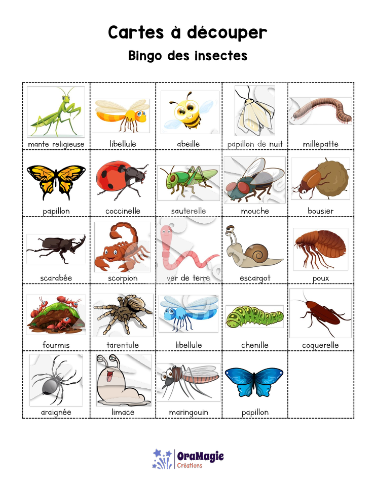 Bingo des insectes - 3 cartes