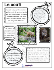 Comprendre un texte informatif - Texte le Coati - 2e année.pdf