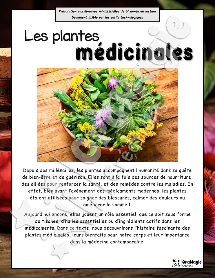 Les plantes médicinales - Compréhension lecture 6e année - Texte courant - Préparation examen ministère.pdf