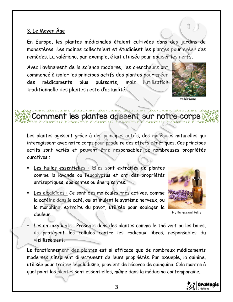 Les plantes médicinales - Compréhension lecture 6e année - Texte courant - Préparation examen ministère