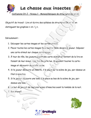 Confusions CH-J - Niveau 1 - La chasse aux insectes.pdf