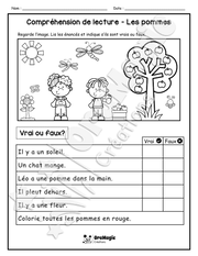 Compréhension de lecture - VRAI OU FAUX - Les pommes - 1re année - 3$.pdf