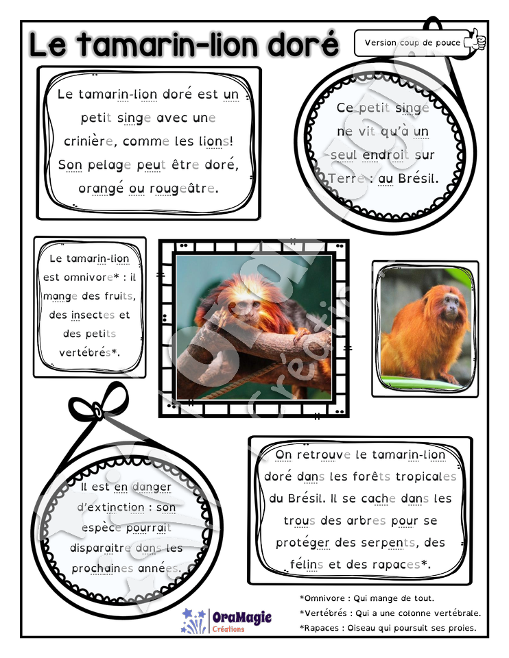 Comprendre un texte informatif - Texte le tamarin lion-doré