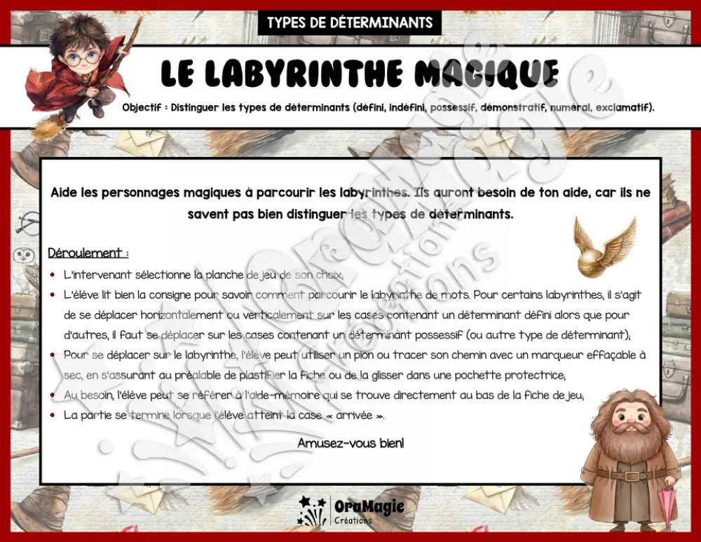 Le labyrinthe magique Harry Potter - Types de déterminants - 5e et 6e année.pdf