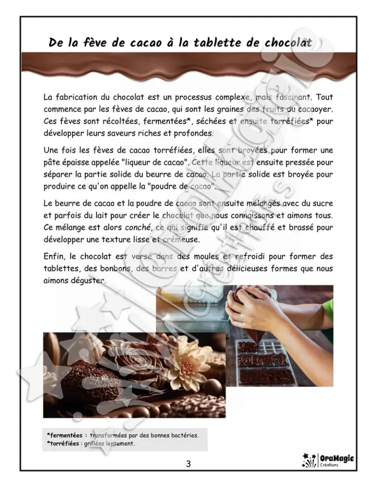 Le monde merveilleux du chocolat - Compréhension lecture 4e année