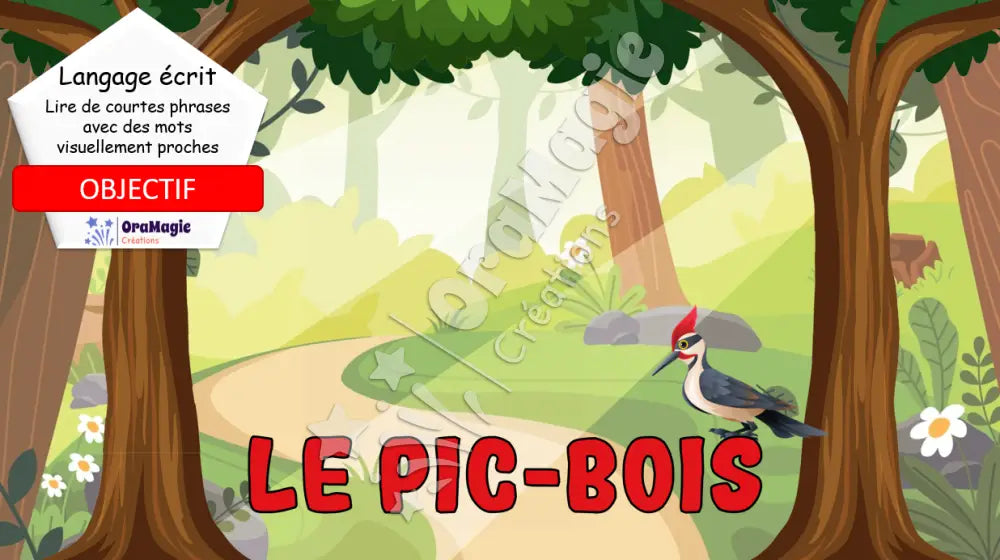 Le pic-bois - Décodage de courtes phrases avec mots visuellement proches - Produit numérique