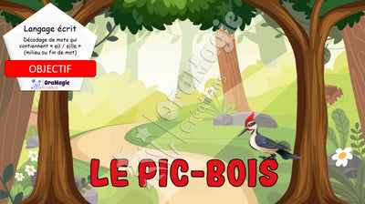 Le pic-bois - Décodage de mots qui contiennent -eil-eille - milieu et fin de mots