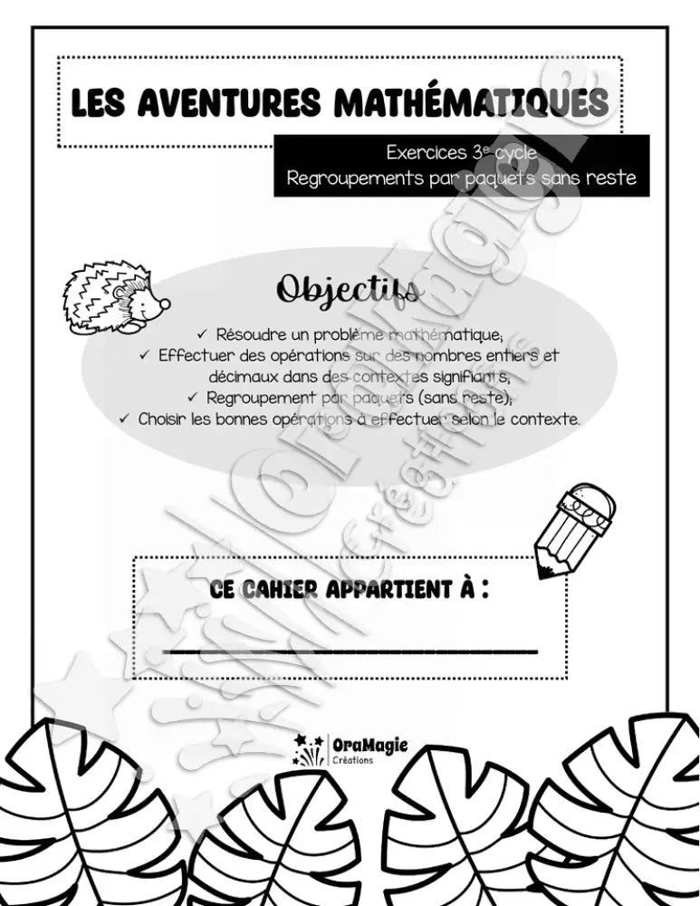 Les aventures mathématiques - Cahier d'exercices - Regroupements par paquets sans reste - 3e cycle.pdf