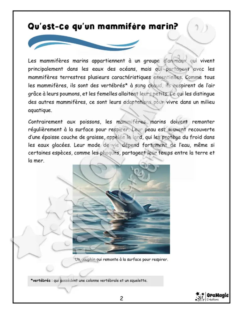 Les mammifères marins - Compréhension lecture 6e année - Texte courant - Préparation examen ministère