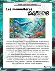Les mammifères marins - Compréhension lecture 6e année - Texte courant - Préparation examen ministère - 5$.pdf