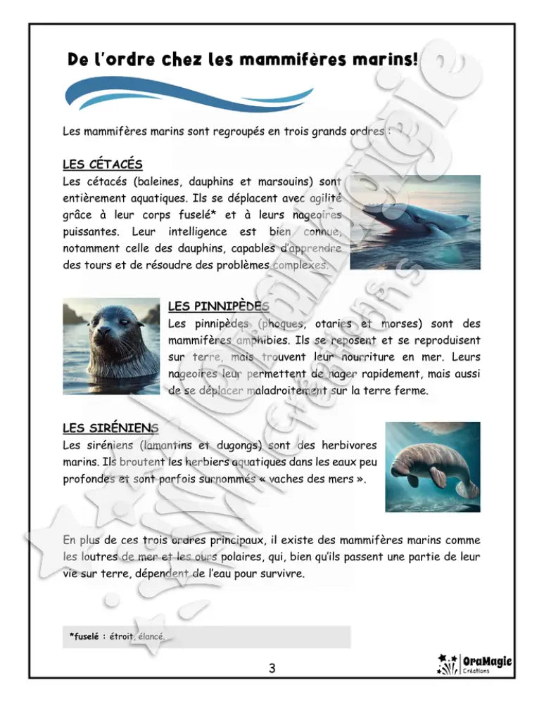 Les mammifères marins - Compréhension lecture 6e année - Texte courant - Préparation examen ministère