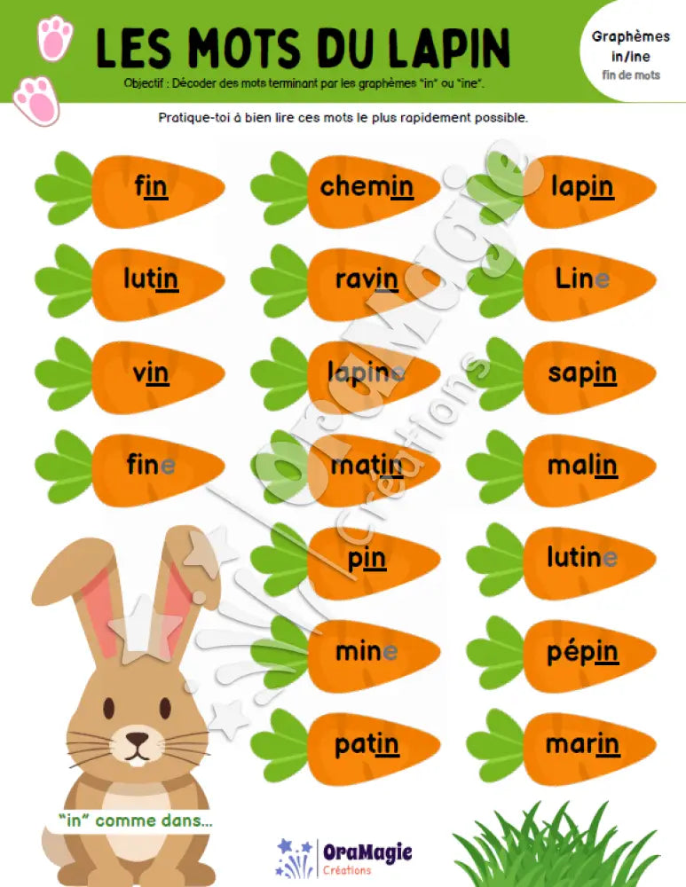 Les mots du lapin - Décodage de vrais mots contenant les graphèmes in-ine en position finale - Produit numérique