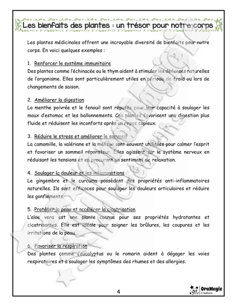 Les plantes médicinales - Compréhension lecture 6e année - Texte courant - Préparation examen ministère