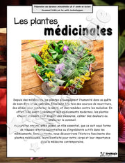 Les plantes médicinales - Compréhension lecture 6e année - Texte courant - Préparation examen ministère.pdf