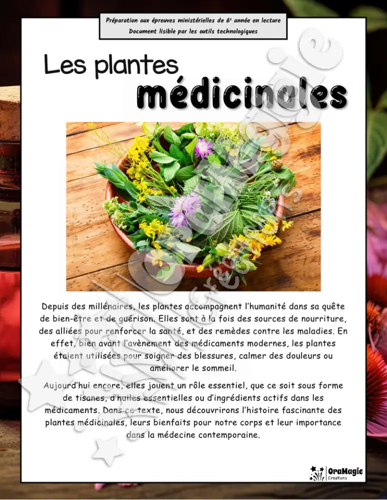 Les plantes médicinales - Compréhension lecture 6e année - Texte courant - Préparation examen ministère.pdf