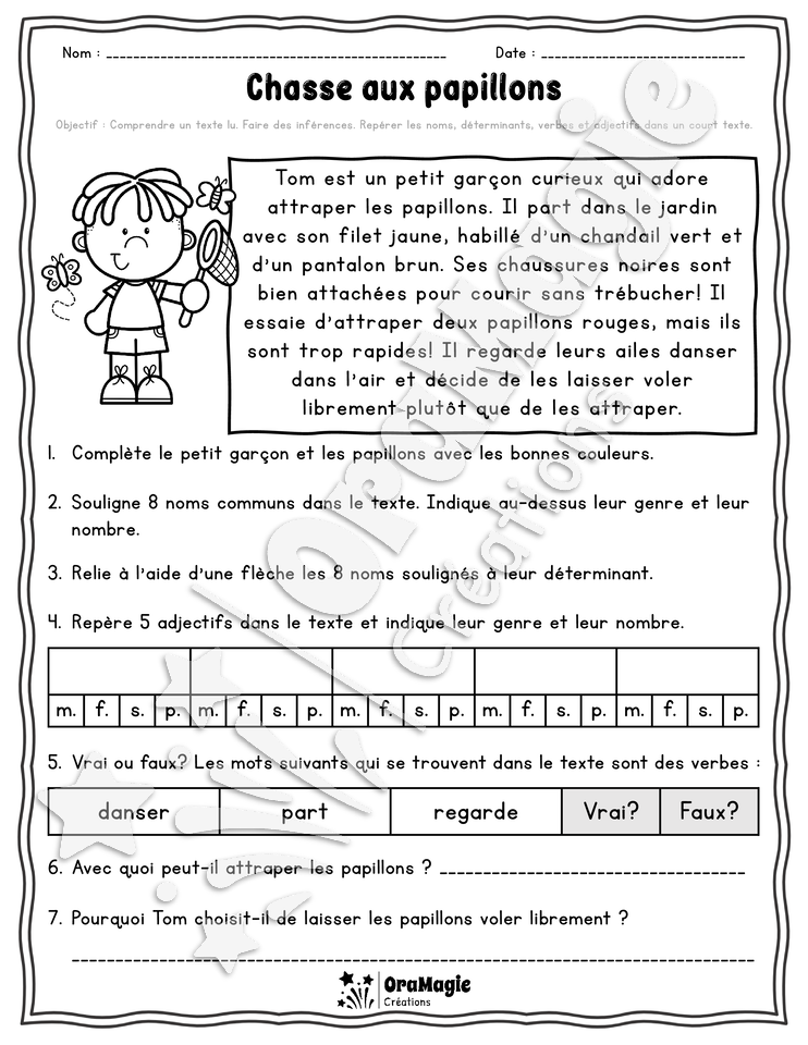 Collection lecture et grammaire - Chasse aux papillons