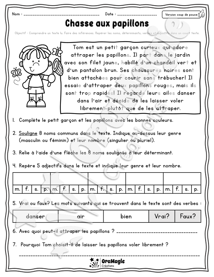 Collection lecture et grammaire - Chasse aux papillons