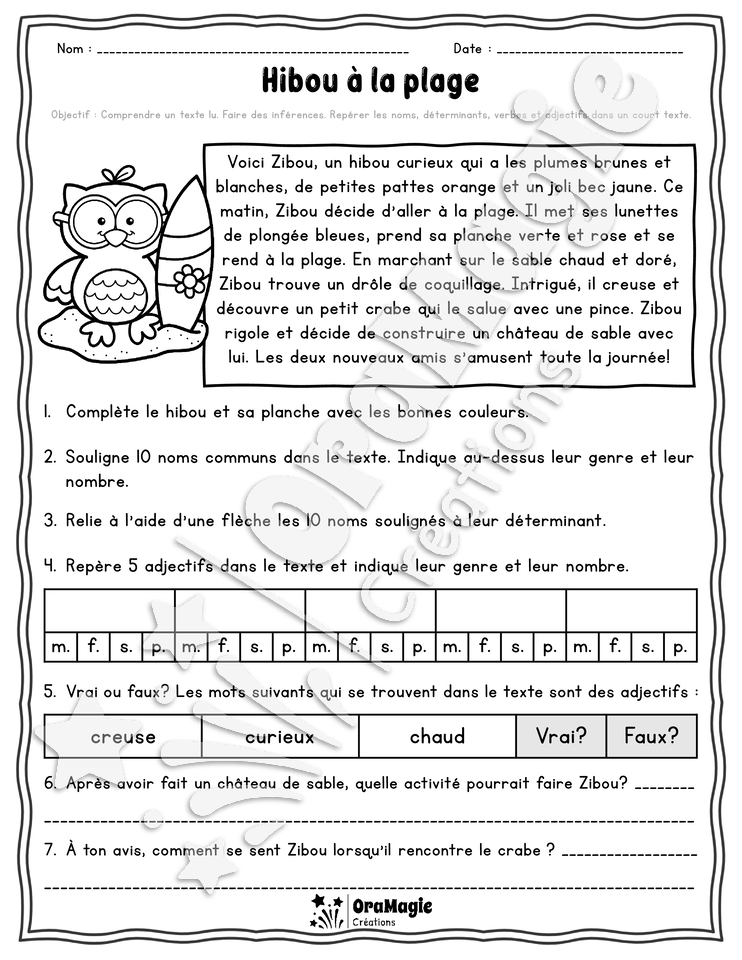 Collection lecture et grammaire - Hibou à la plage 